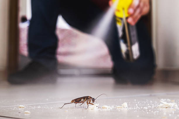 Professional Pest Control in Ravensworth, VA