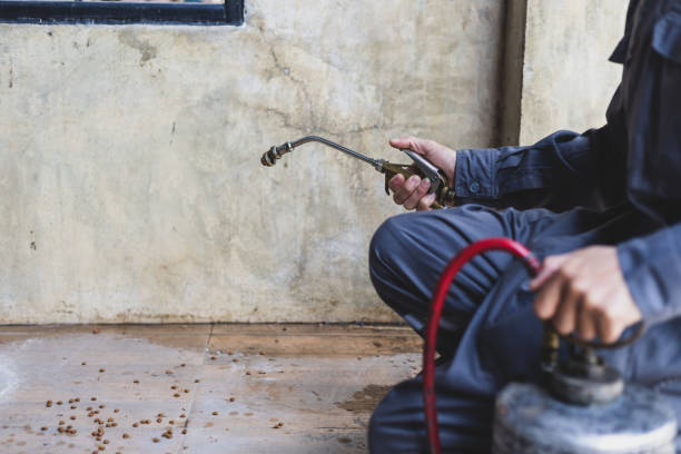 Pest Prevention Services in Ravensworth, VA